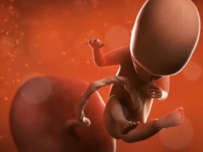 12 Weeks Pregnant video