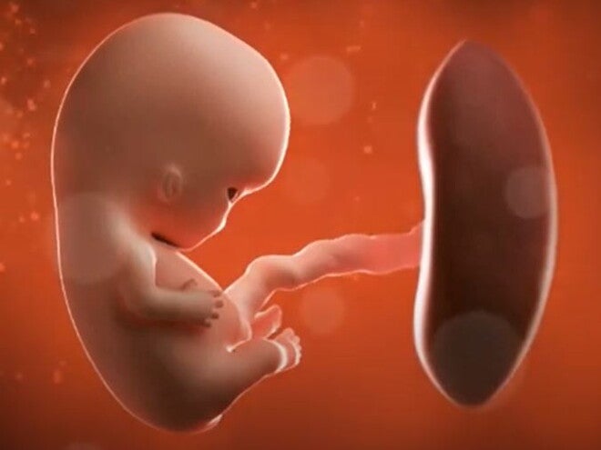 7 Weeks Pregnant video