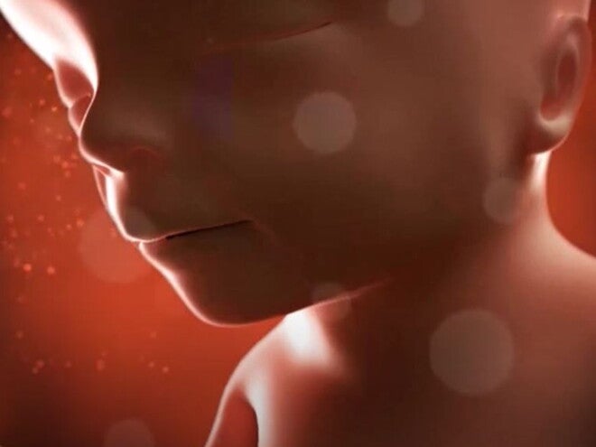 15 Weeks Pregnant video