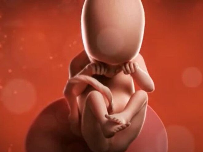 16 Weeks Pregnant video