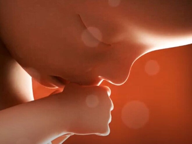 19 Weeks Pregnant video