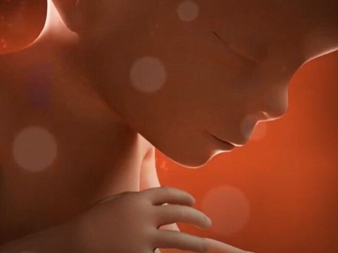 21 Weeks Pregnant video