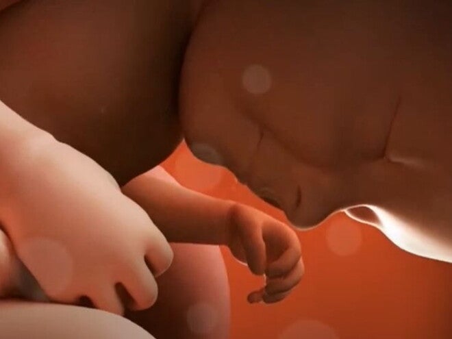 31 Weeks Pregnant video