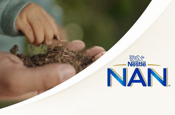 NAN Sustainability Banner